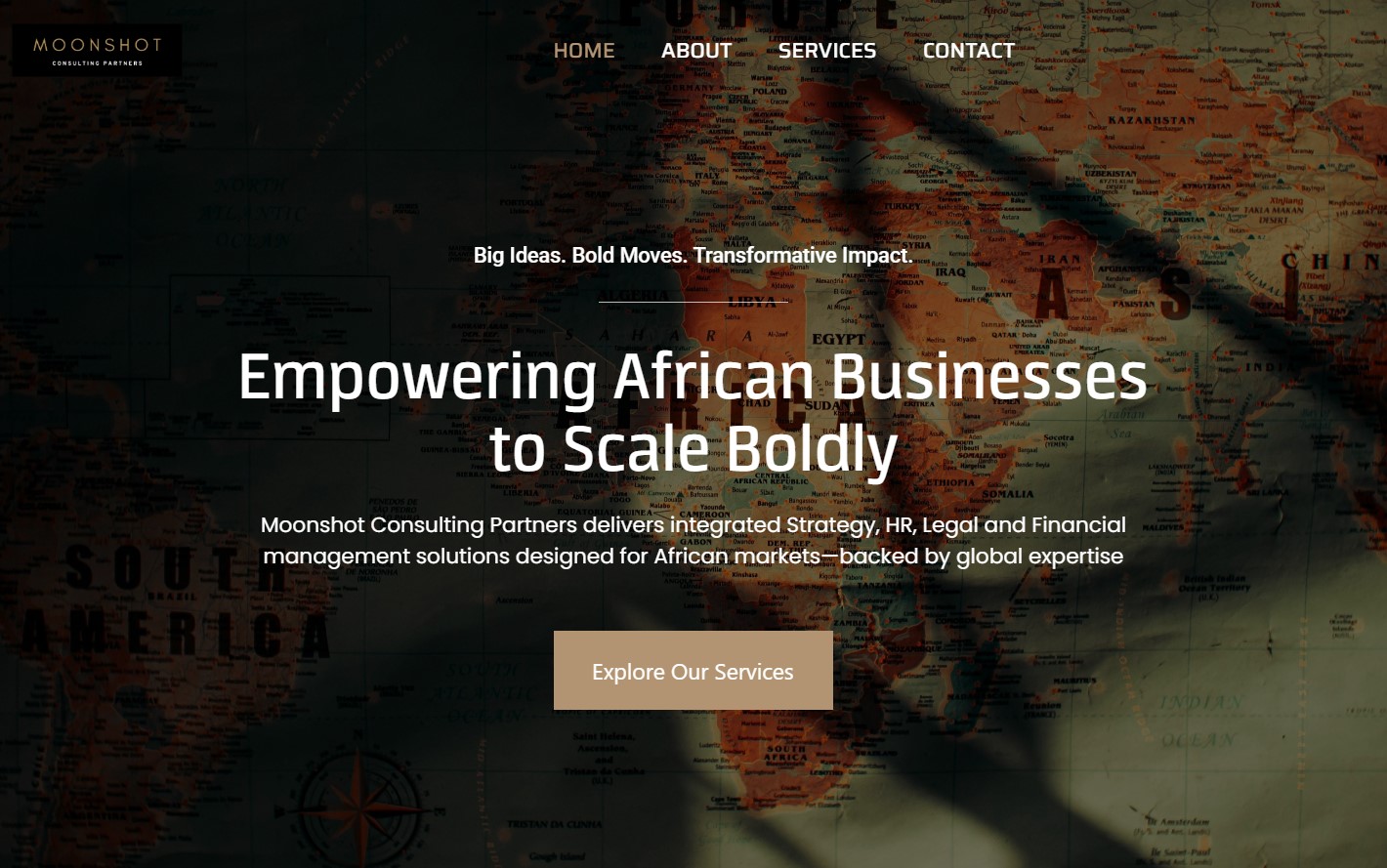 Moonshot Consulting Partners